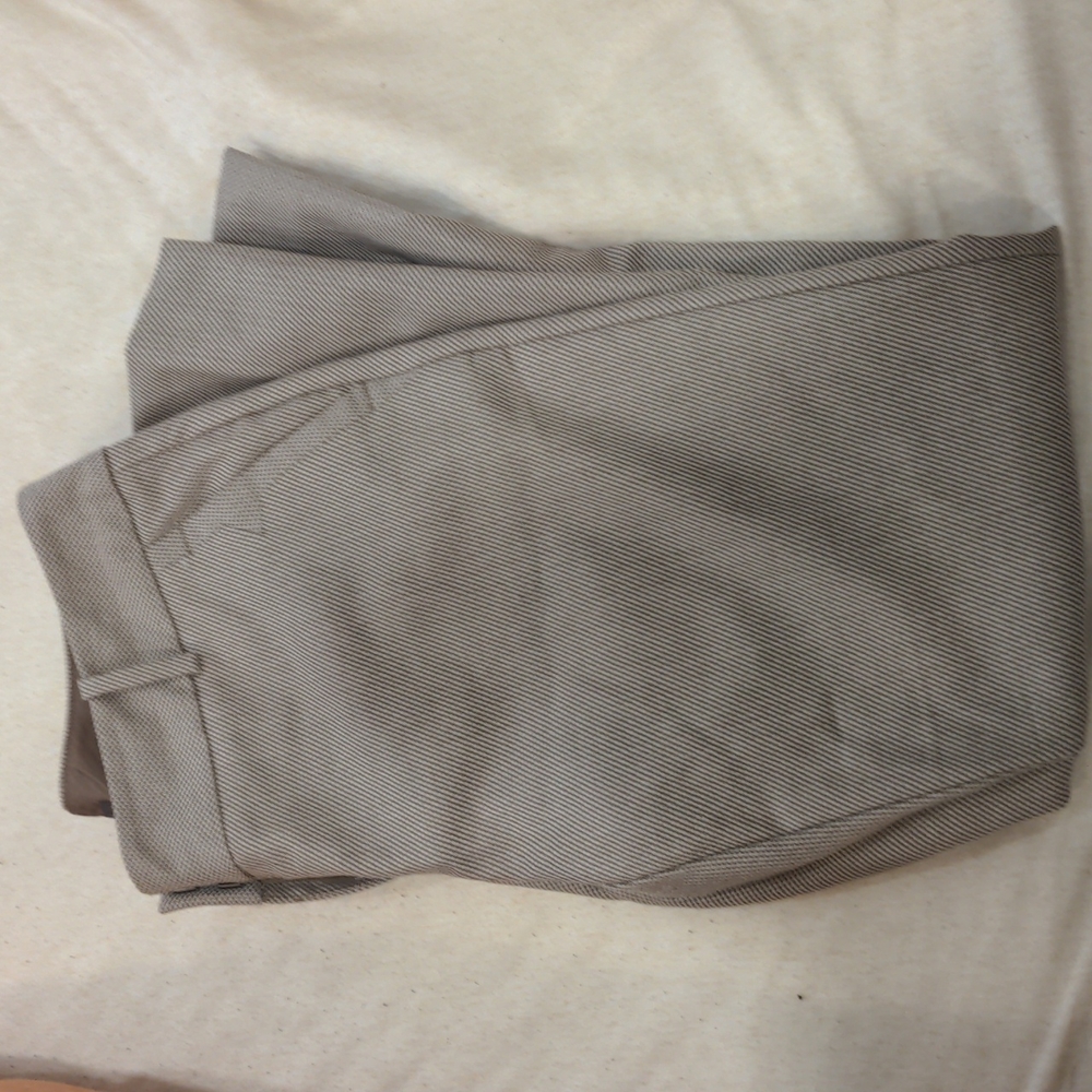 The Limited pants